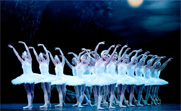 Swan Lake - The Coliseum 